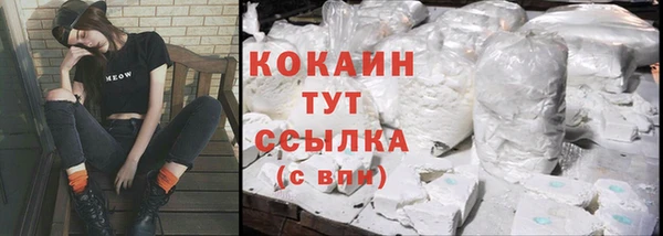 крисы Абаза