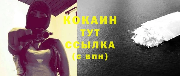 крисы Абаза