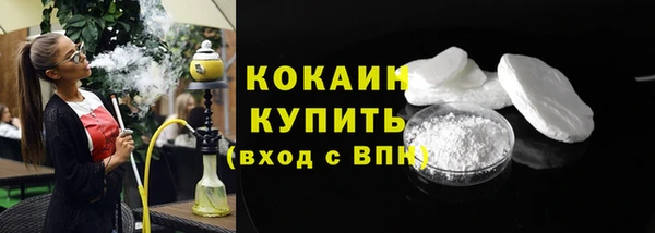 крисы Абаза