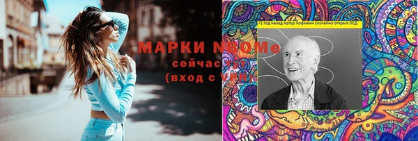 крисы Абаза