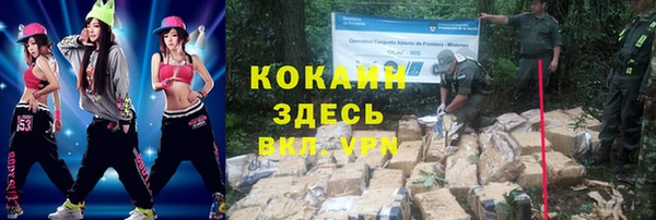 хмурый Карпинск