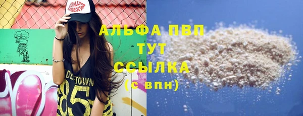 хмурый Карпинск