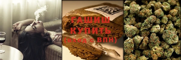 крисы Абаза